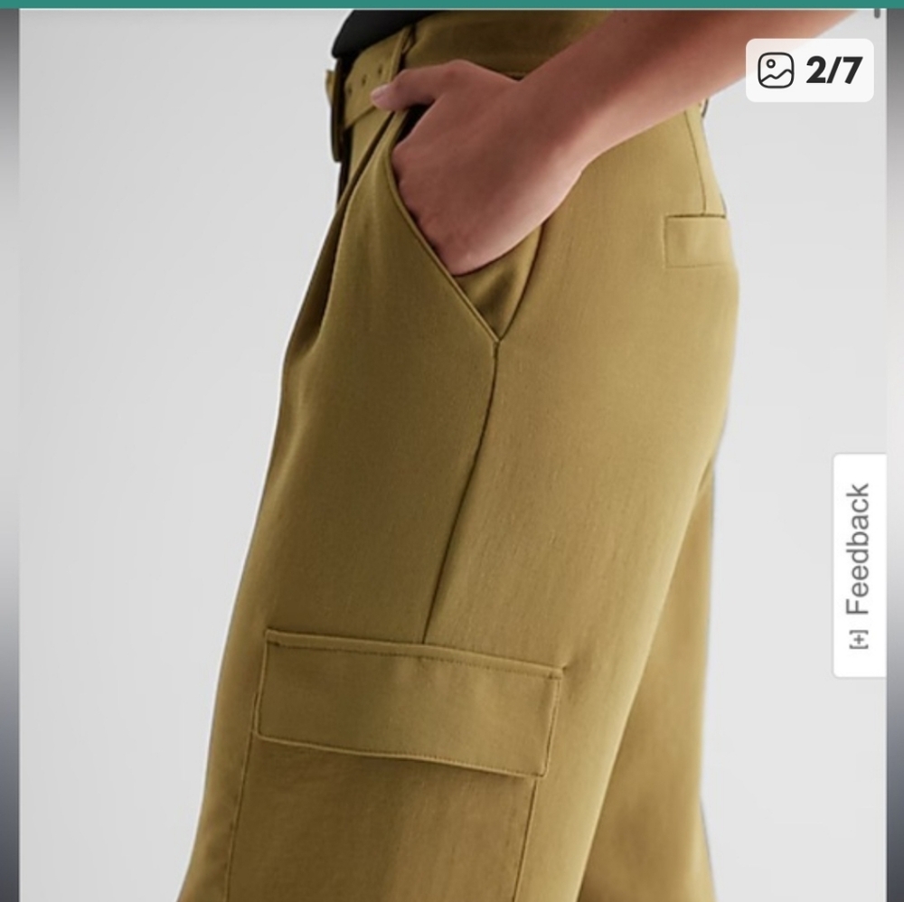 Express Cargo Pants - Picture 2 of 12